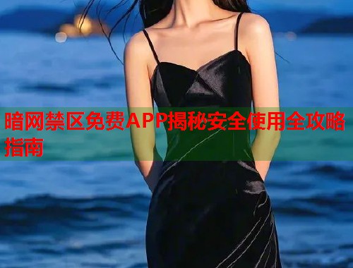 暗网禁区免费APP揭秘安全使用全攻略指南