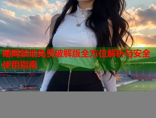 暗网禁地免费破解版全方位解析与安全使用指南
