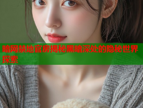 暗网禁地官房揭秘黑暗深处的隐秘世界探索