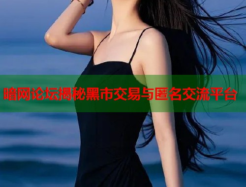 暗网论坛揭秘黑市交易与匿名交流平台