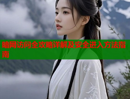 暗网访问全攻略详解及安全进入方法指南