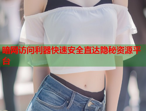 暗网访问利器快速安全直达隐秘资源平台