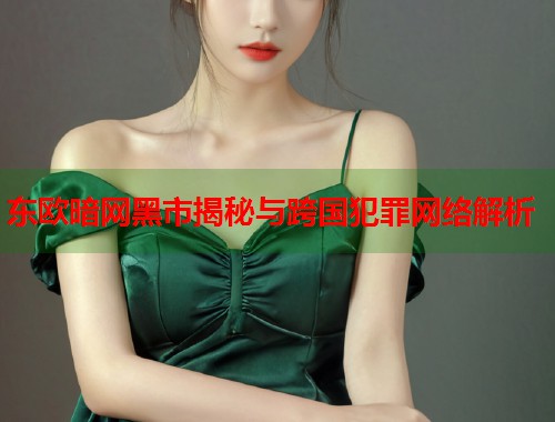 东欧暗网黑市揭秘与跨国犯罪网络解析