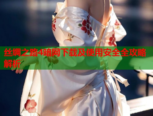 丝绸之路4暗网下载及使用安全全攻略解析