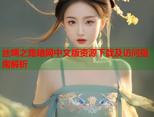 丝绸之路暗网中文版资源下载及访问指南解析