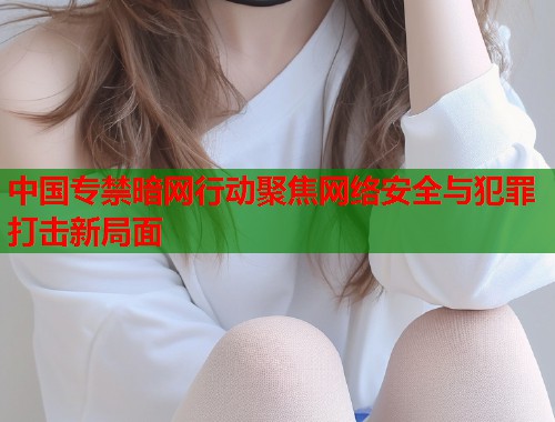 中国专禁暗网行动聚焦网络安全与犯罪打击新局面