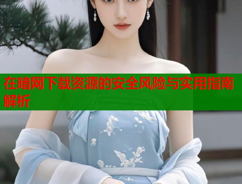 在暗网下载资源的安全风险与实用指南解析