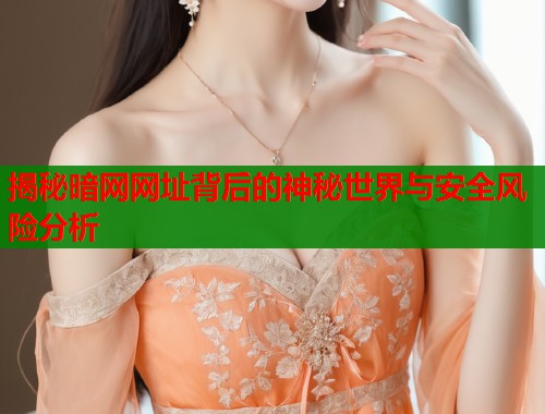揭秘暗网网址背后的神秘世界与安全风险分析