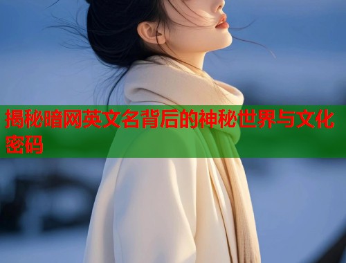 揭秘暗网英文名背后的神秘世界与文化密码