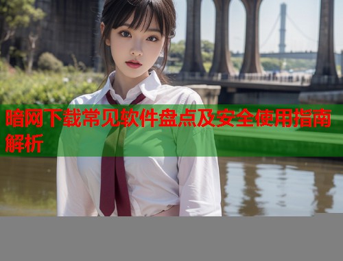暗网下载常见软件盘点及安全使用指南解析