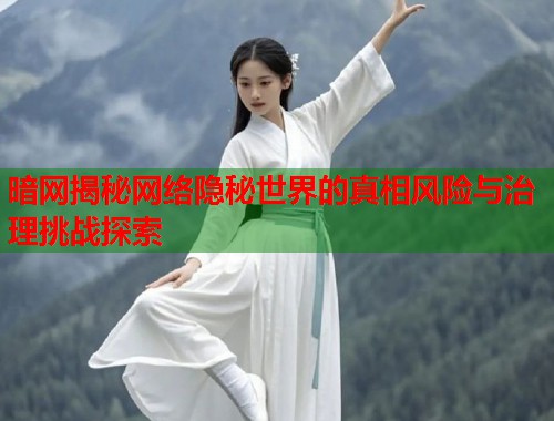 暗网揭秘网络隐秘世界的真相风险与治理挑战探索