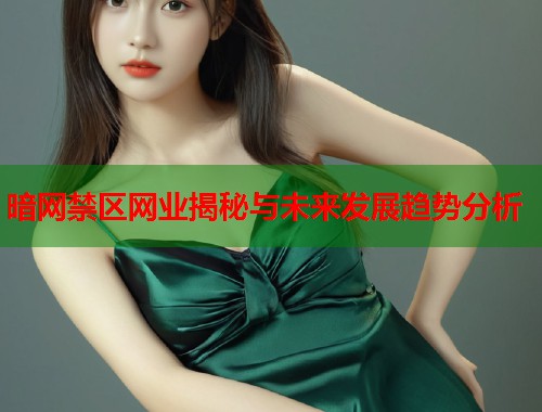 暗网禁区网业揭秘与未来发展趋势分析