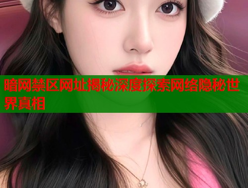 暗网禁区网址揭秘深度探索网络隐秘世界真相