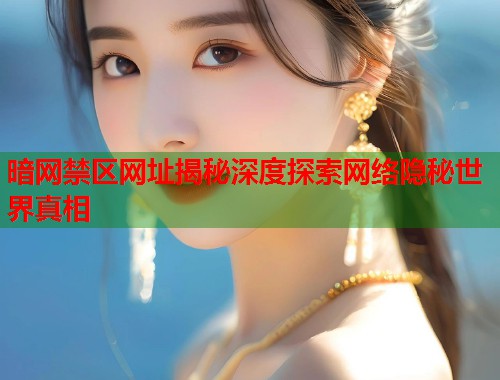 暗网禁区网址揭秘深度探索网络隐秘世界真相