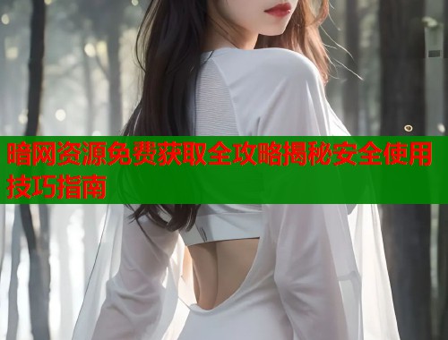 暗网资源免费获取全攻略揭秘安全使用技巧指南