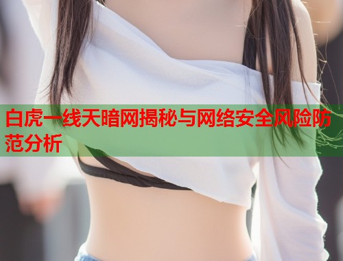 白虎一线天暗网揭秘与网络安全风险防范分析