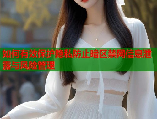如何有效保护隐私防止暗区禁网信息泄露与风险管理