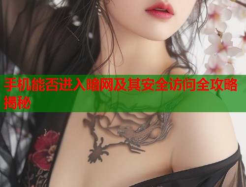 手机能否进入暗网及其安全访问全攻略揭秘