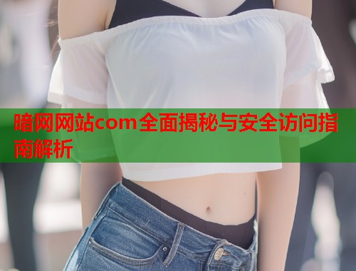暗网网站com全面揭秘与安全访问指南解析