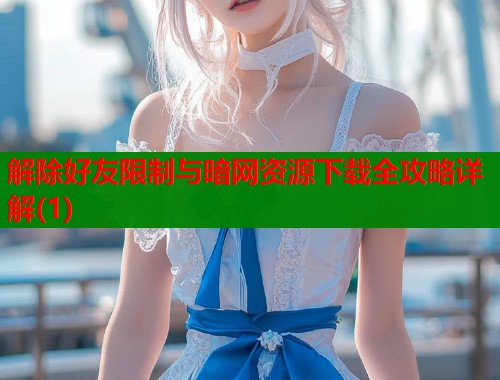 解除好友限制与暗网资源下载全攻略详解(1)