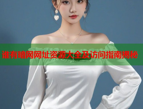 谁有暗网网址资源大全及访问指南揭秘