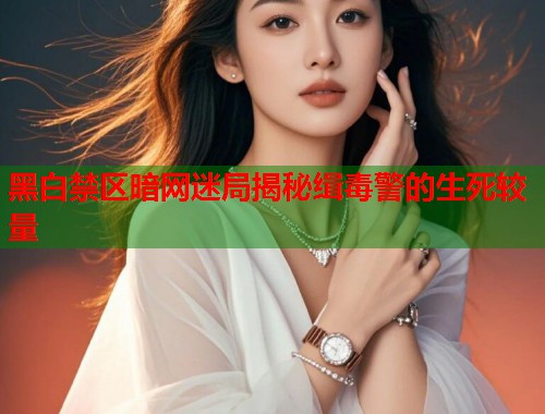 黑白禁区暗网迷局揭秘缉毒警的生死较量
