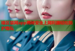 暗区禁网app揭秘安全上网利器轻松防护隐私