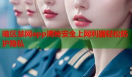 暗区禁网app揭秘安全上网利器轻松防护隐私