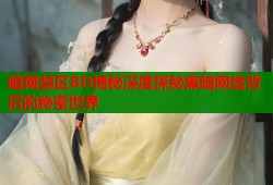 暗网禁区BD揭秘深度探秘黑暗网络背后的秘密世界