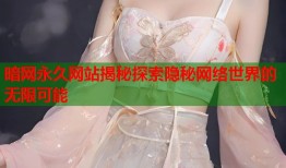 暗网永久网站揭秘探索隐秘网络世界的无限可能