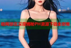 暗网禁区深度揭秘PH资源下载全攻略