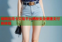 暗网信用卡交易平台揭秘安全便捷支付新体验