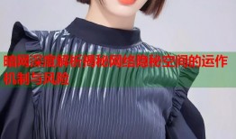 暗网深度解析揭秘网络隐秘空间的运作机制与风险
