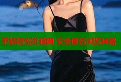 手机轻松进暗网 安全匿名浏览神器