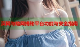 深网与暗网揭秘平台功能与安全指南