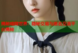 揭秘暗网世界：隐秘交易与匿名交流平台揭秘