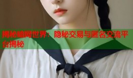 揭秘暗网世界：隐秘交易与匿名交流平台揭秘