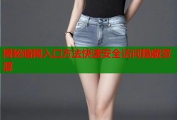 揭秘暗网入口方法快速安全访问隐藏资源