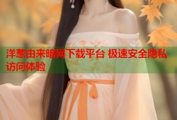 洋葱由来暗网下载平台 极速安全隐私访问体验