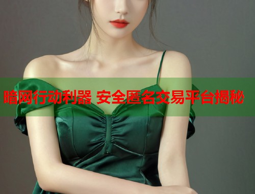 暗网行动利器 安全匿名交易平台揭秘