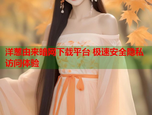 洋葱由来暗网下载平台 极速安全隐私访问体验