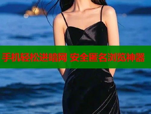 手机轻松进暗网 安全匿名浏览神器