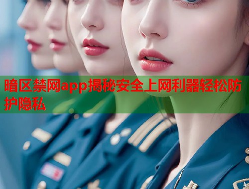 暗区禁网app揭秘安全上网利器轻松防护隐私