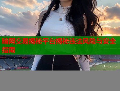 暗网交易揭秘平台揭秘违法风险与安全指南